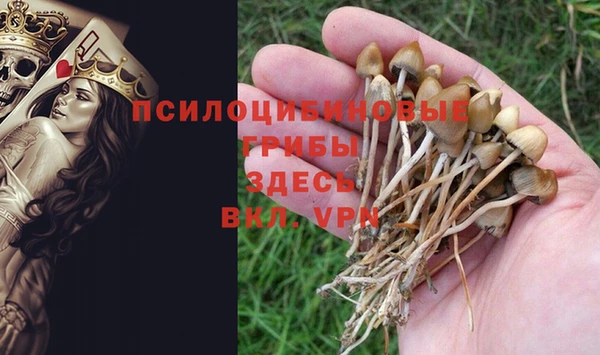 МДМА Нязепетровск