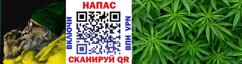 Марихуана SATIVA & INDICA  сколько стоит  Медынь 